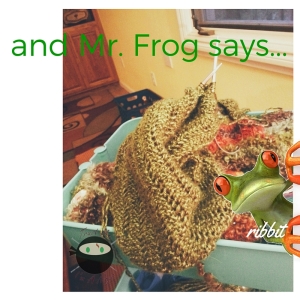 mr. frog